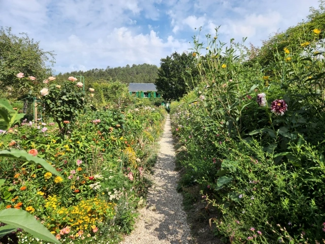 20221001000003_0_20221001090208804.jpg?type=w647