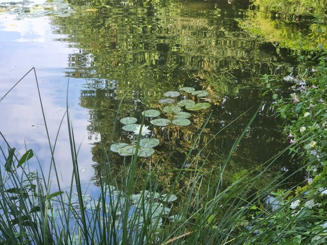 20221001000014_0_20221001090208916.jpg?type=w647