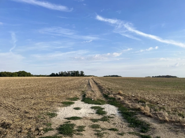 20220924000024_0_20220924114701821.jpg?type=w647