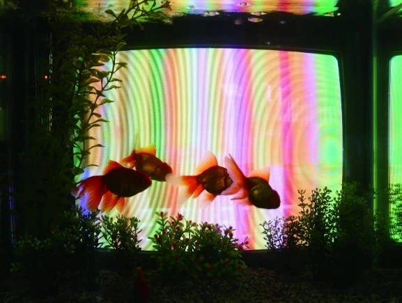 20221125000532_0_20221126053201348.jpg?type=w647