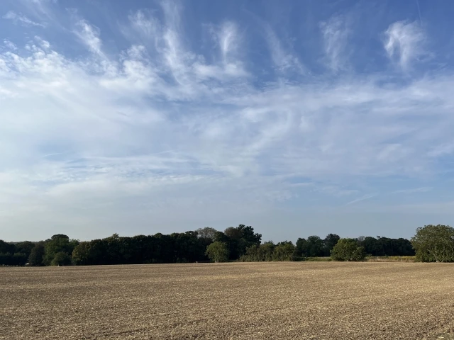 20220924000028_0_20220924114701861.jpg?type=w647