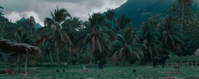 20221202000611_0_20221203053301731.jpg?type=w647