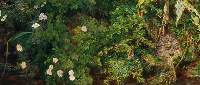 20230901000695_0_20230902002301373.jpg?type=w647