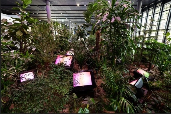 20221125000550_0_20221126053201633.jpg?type=w647