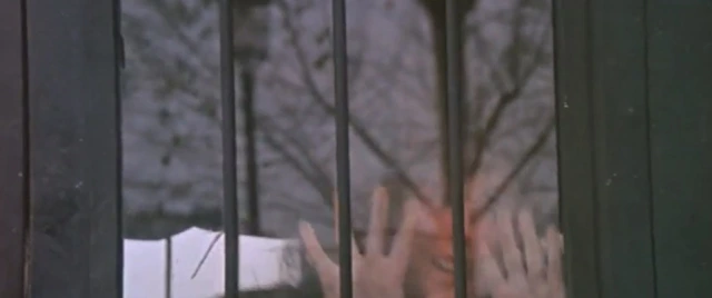 20221102000700_0_20221105074502635.jpg?type=w647