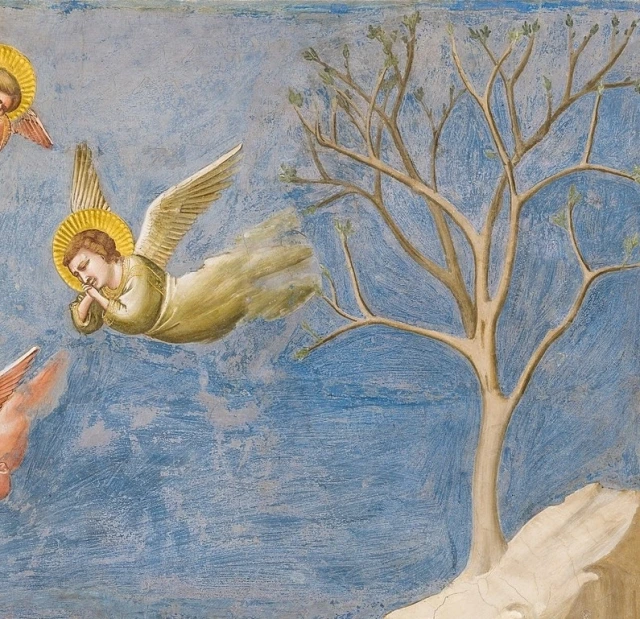 20220701000634_0_20220702065901630.jpg?type=w647