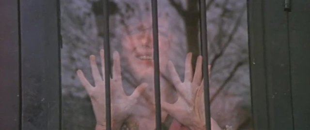 20221102000699_0_20221105074502627.jpg?type=w647