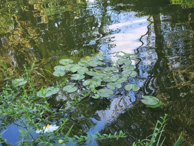 20221001000020_0_20221001090208986.jpg?type=w647