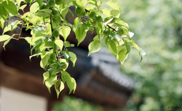 20230310000574_0_20230311002701509.jpg?type=w647