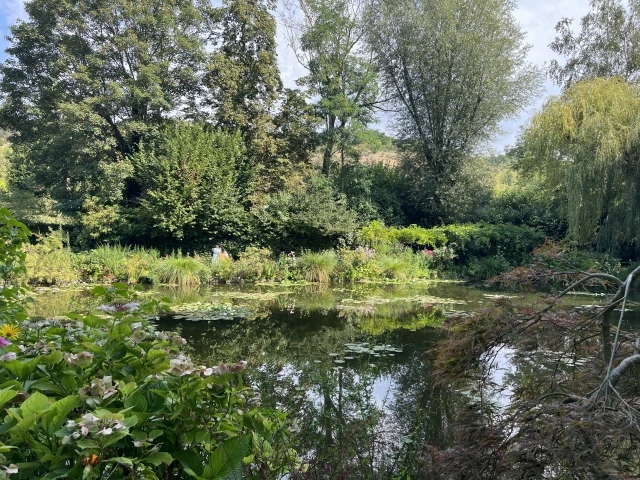 20221001000007_0_20221001090208848.jpg?type=w647