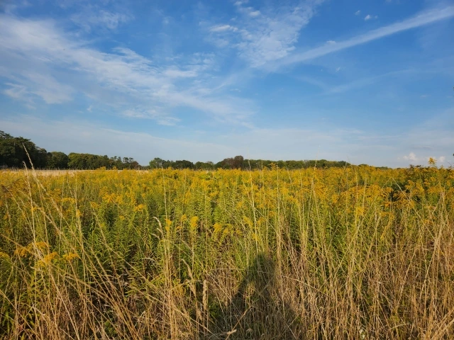 20220924000027_0_20220924114701855.jpg?type=w647