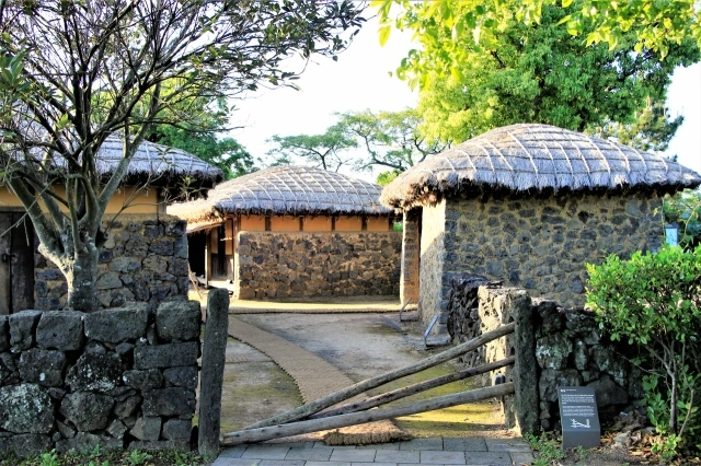 20230310000554_0_20230311002701430.jpg?type=w647