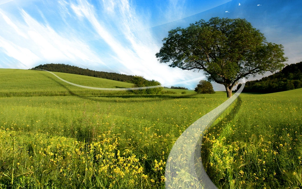 113697464DA83BA30A2713