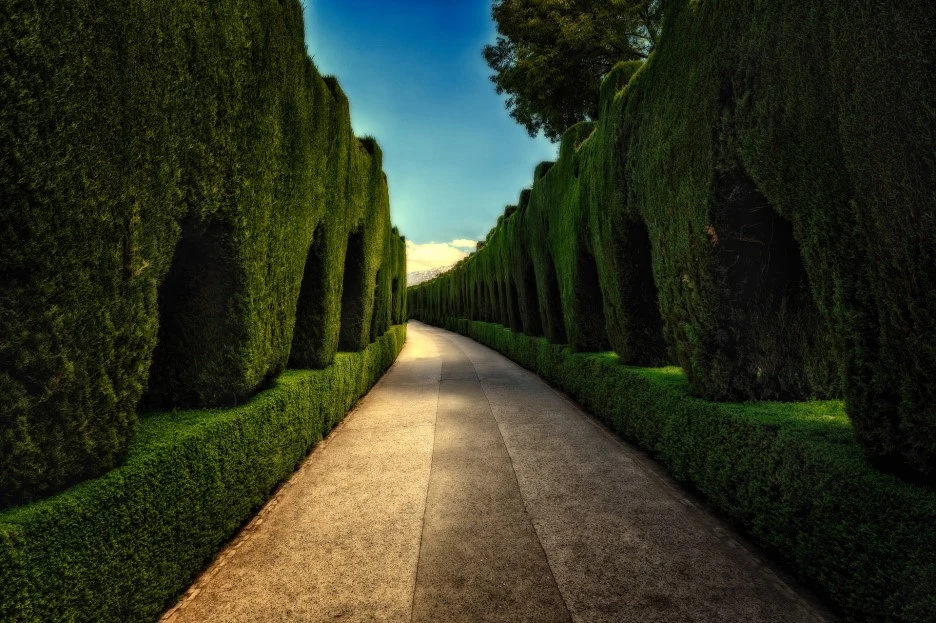 park-4260984_1920.jpg?type=w1