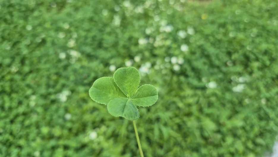 20250705_090419.jpg?type=w1