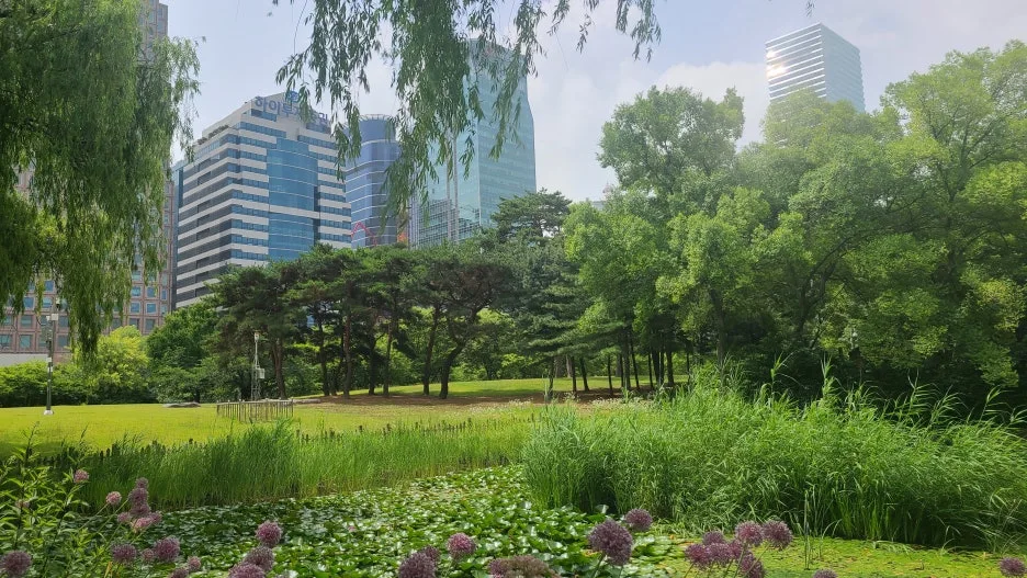 20240624_105346.jpg?type=w1