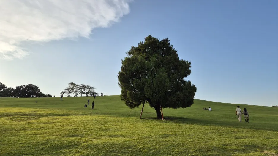 20250925_172424.jpg?type=w1