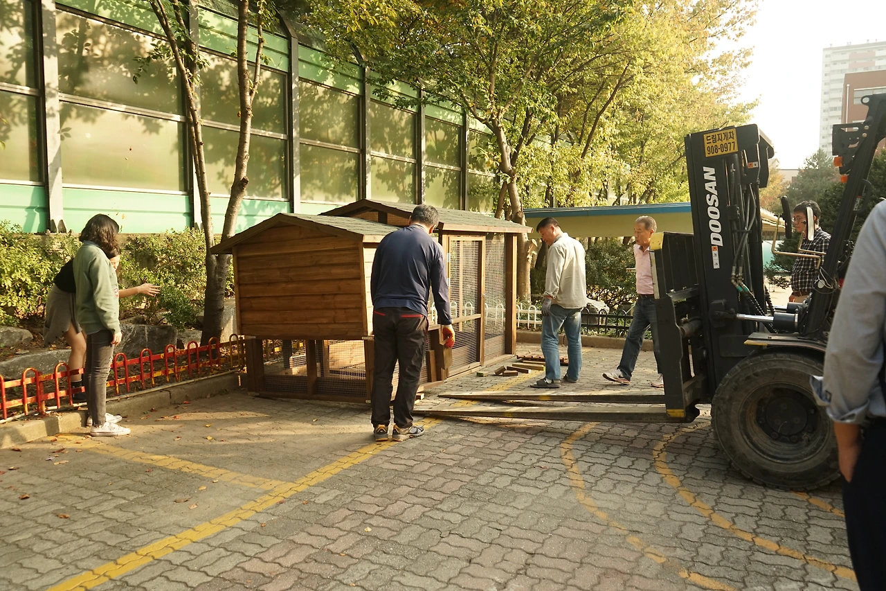 지게차를 동원해 토끼장을 내려놓는 현장의 모습.JPG