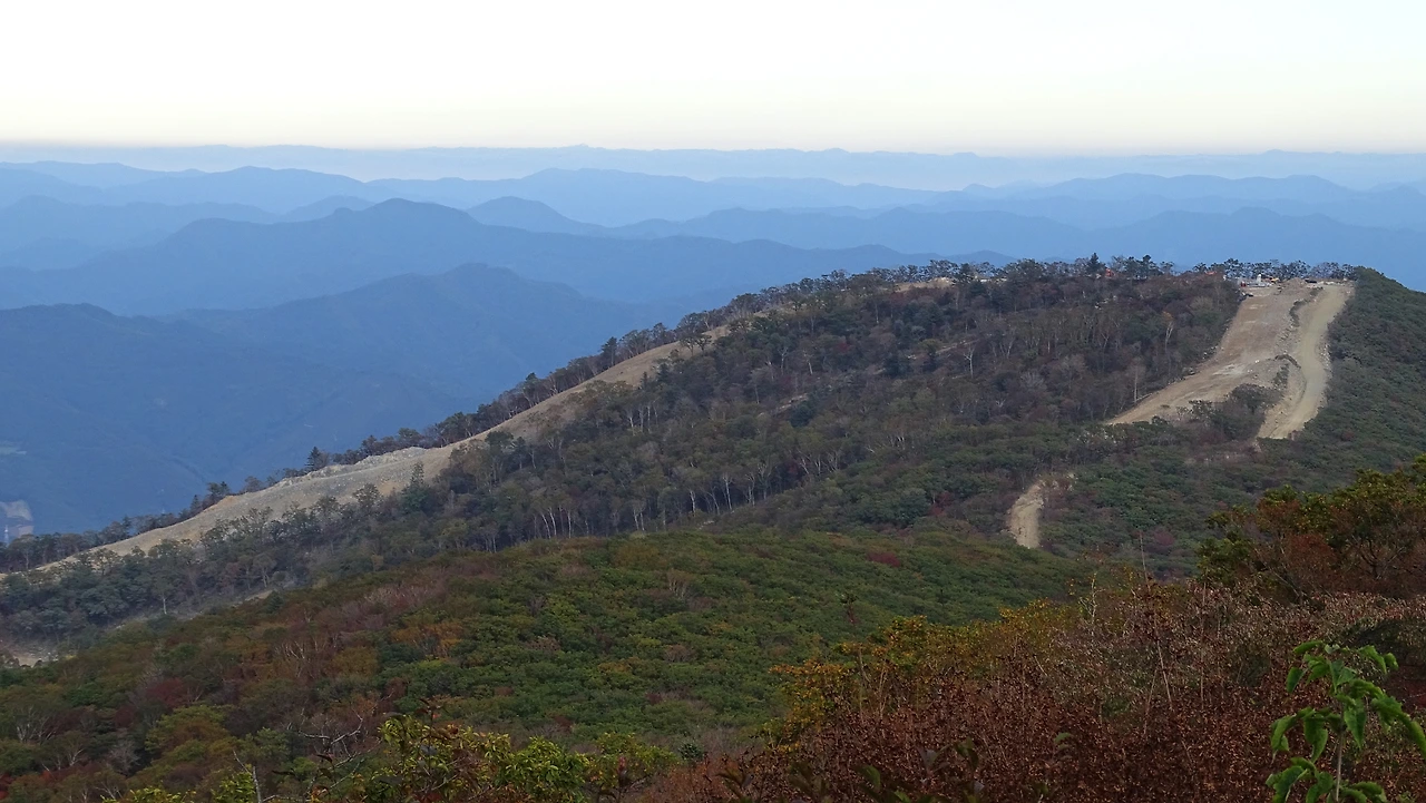스키 경기를 위해 벌목된 가리왕산 중봉에서 바라본 하봉의 모습.JPG