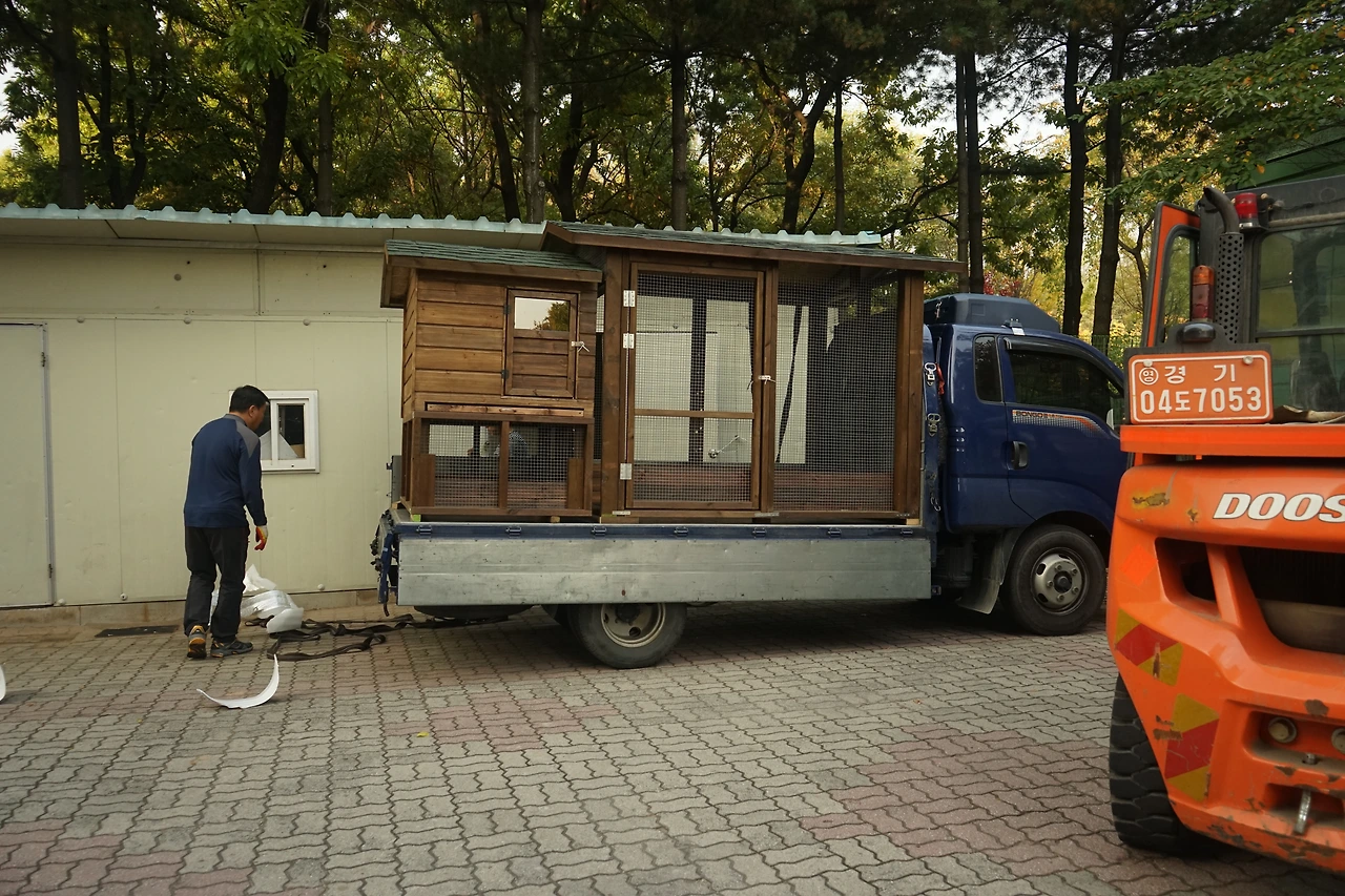 학교로 싣고 온 미리 짜놓은 토끼장.JPG