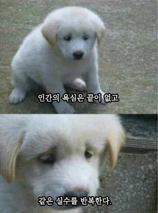 exm5oaamq56ww3etlqkpoykx2j2o