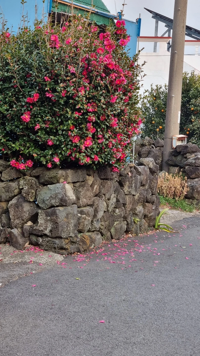 dyl1f0x3v55w3x2v1woe139mzeqd