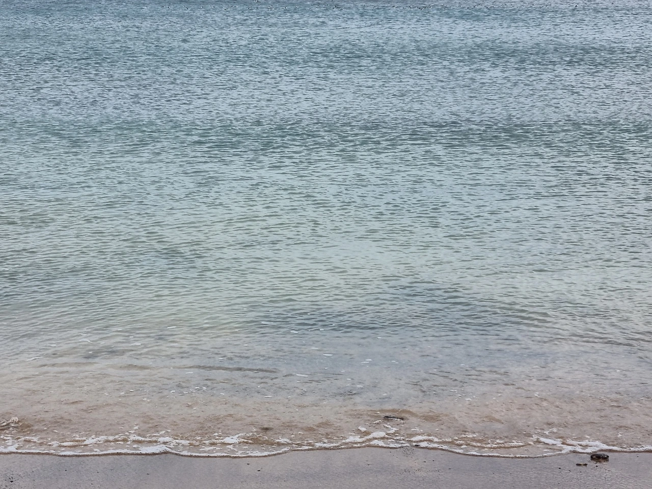 yqo3yzqocv3e8qq18lye98g6y9wa