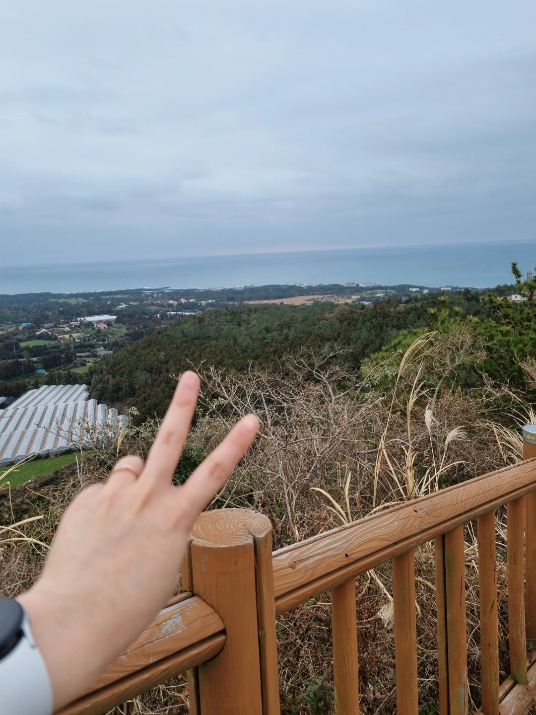 20h5uirsc5xe64v0iwso79o5viof