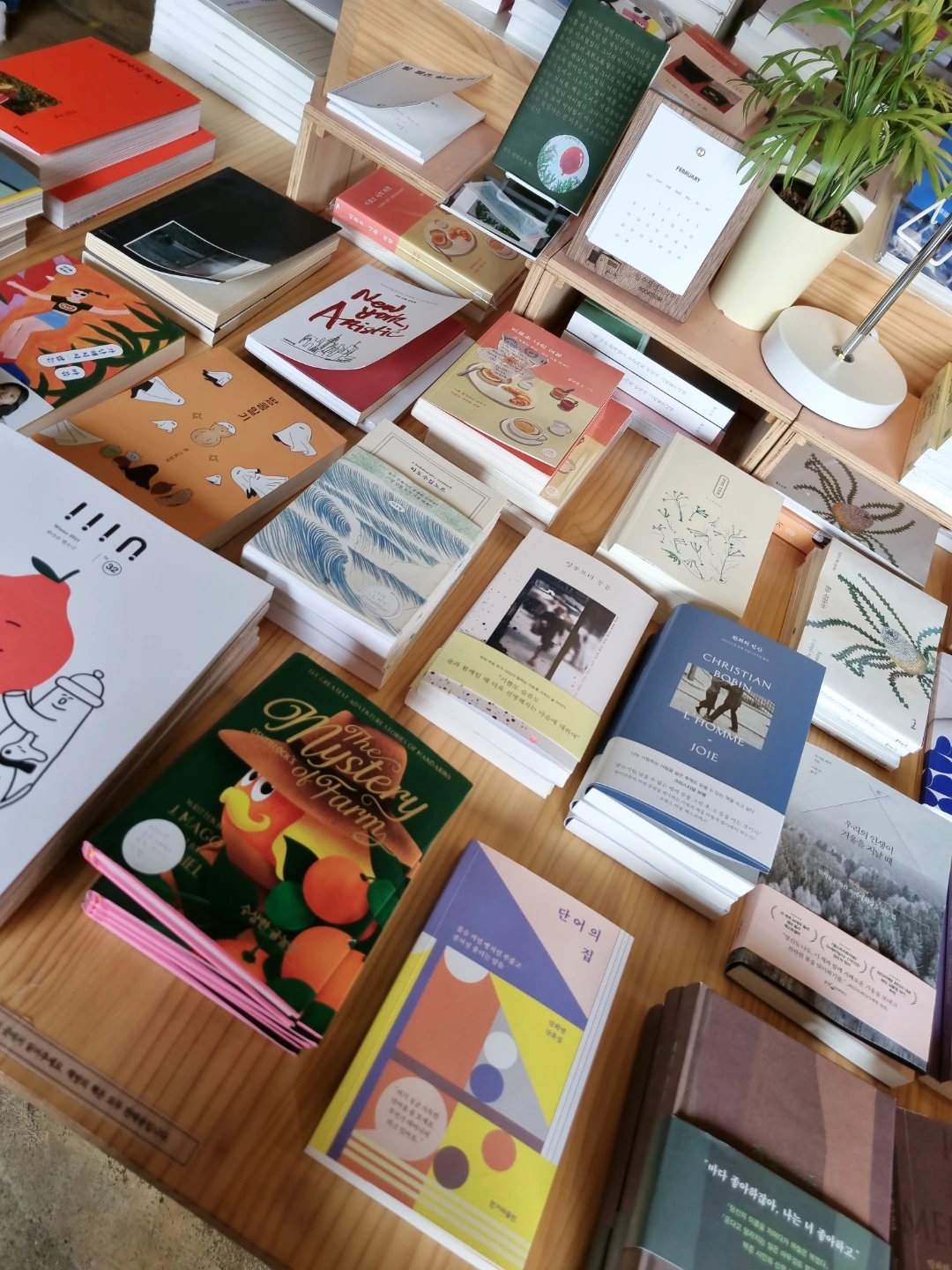 ywnatixb0m8iqdgmm3t0rvttk1b6