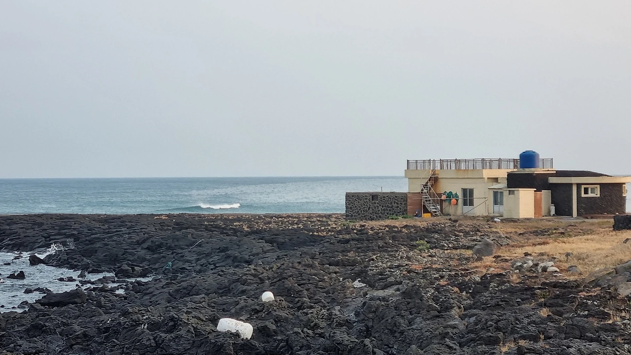 sy8a1yfs4be0zvbzppkhbv9s2bg4