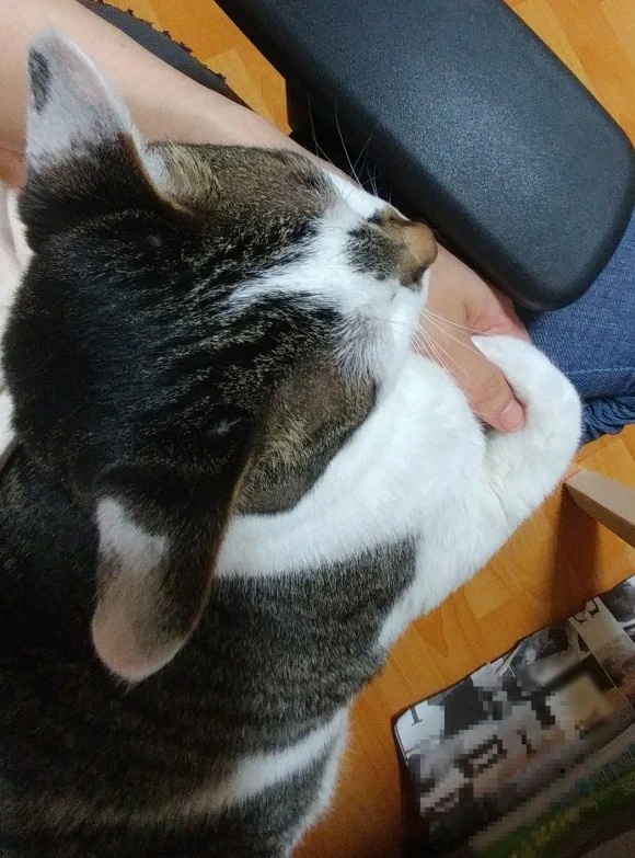 SE-2c303294-c8d4-4fd1-9ef7-61b26c1f4c33.jpg?type=w580