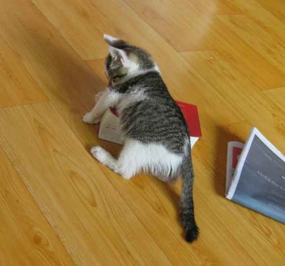 SE-0504e888-53dd-4e92-8aeb-98a8c6bb3ee7.jpg?type=w580