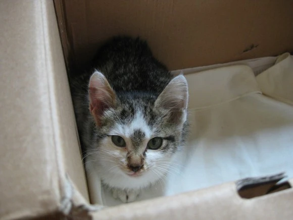 IMG_0926.JPG?type=w580