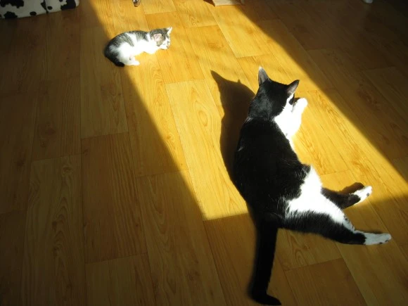 IMG_1267.JPG?type=w580