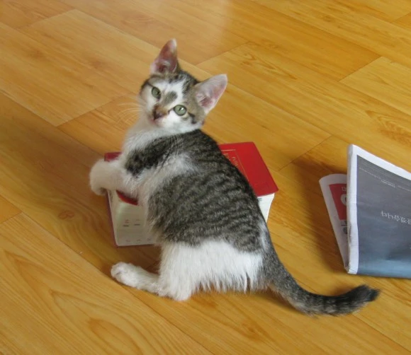 SE-1e4459cf-2c19-4037-858e-0234f7c493f1.jpg?type=w580