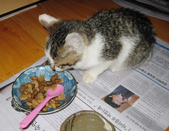 SE-e7503366-1476-4cd0-b7b8-93148b413c58.jpg?type=w580