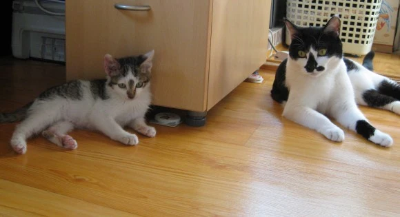 IMG_1343.JPG?type=w580