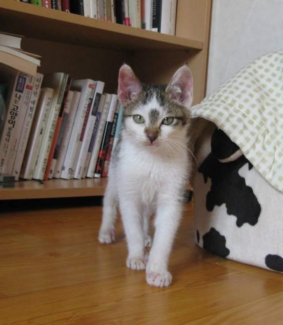 SE-02fb4620-33bc-4fce-8193-0d3df334362c.jpg?type=w580