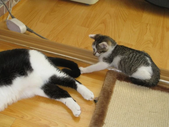 IMG_1365.JPG?type=w580