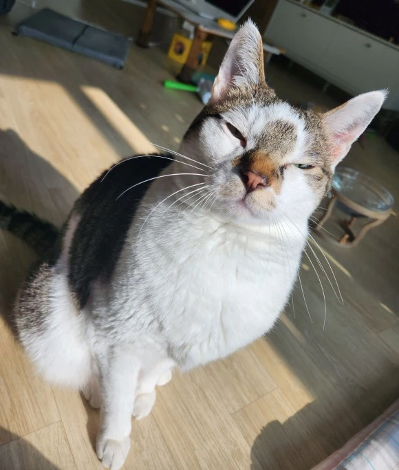 SE-0ac5717f-f116-4e6a-afb7-c5b3b1a7249f.jpg?type=w580