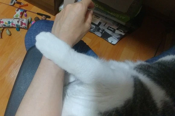 SE-9278efb0-2e49-443e-b822-5b85af27103a.jpg?type=w580