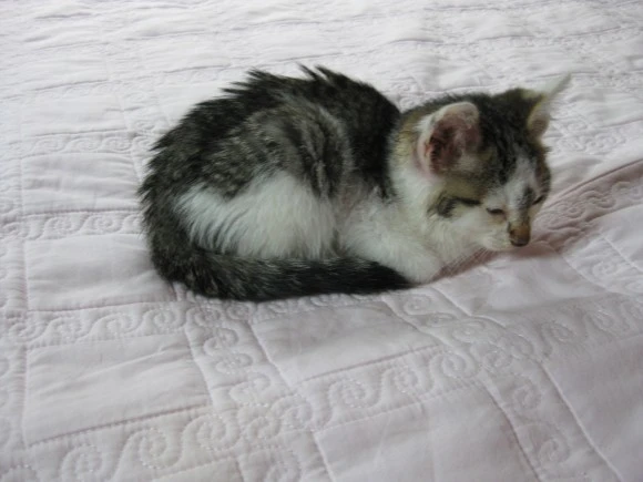 IMG_1136.JPG?type=w580