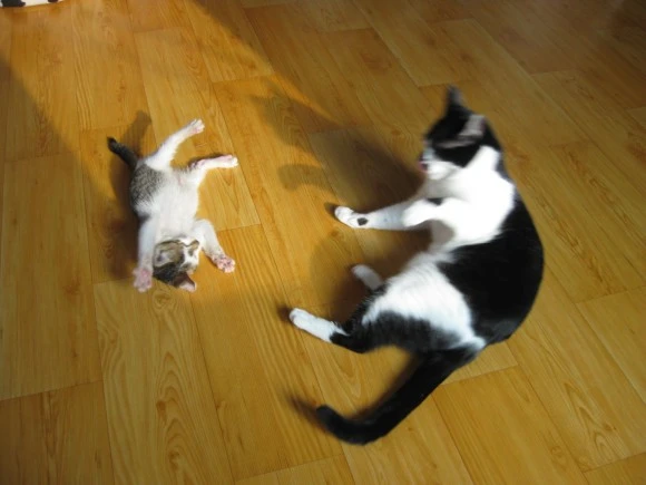 IMG_1413.JPG?type=w580