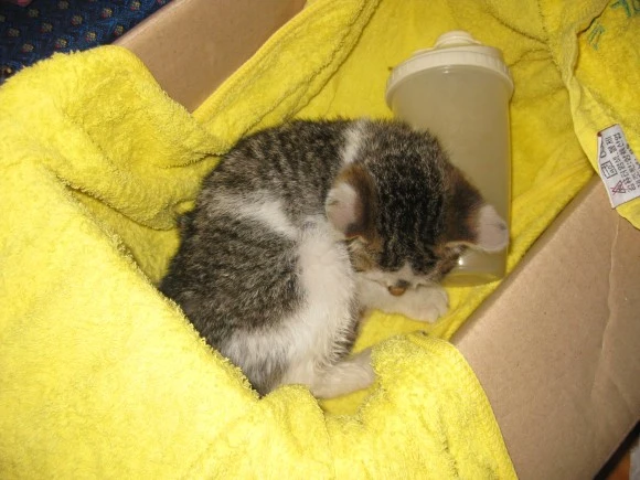 IMG_0917.JPG?type=w580