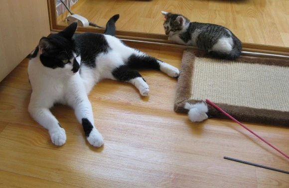 IMG_1359.JPG?type=w580