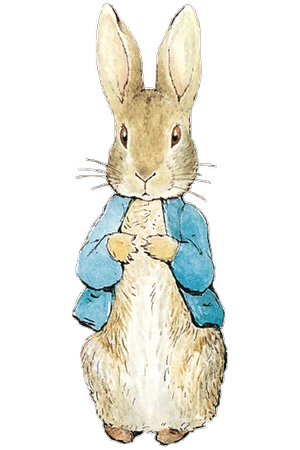 image_8206222521537167868579.png?type=w1200