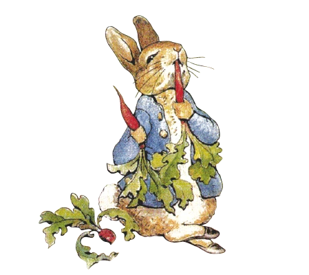 image_7213716721537160010970.png?type=w1200