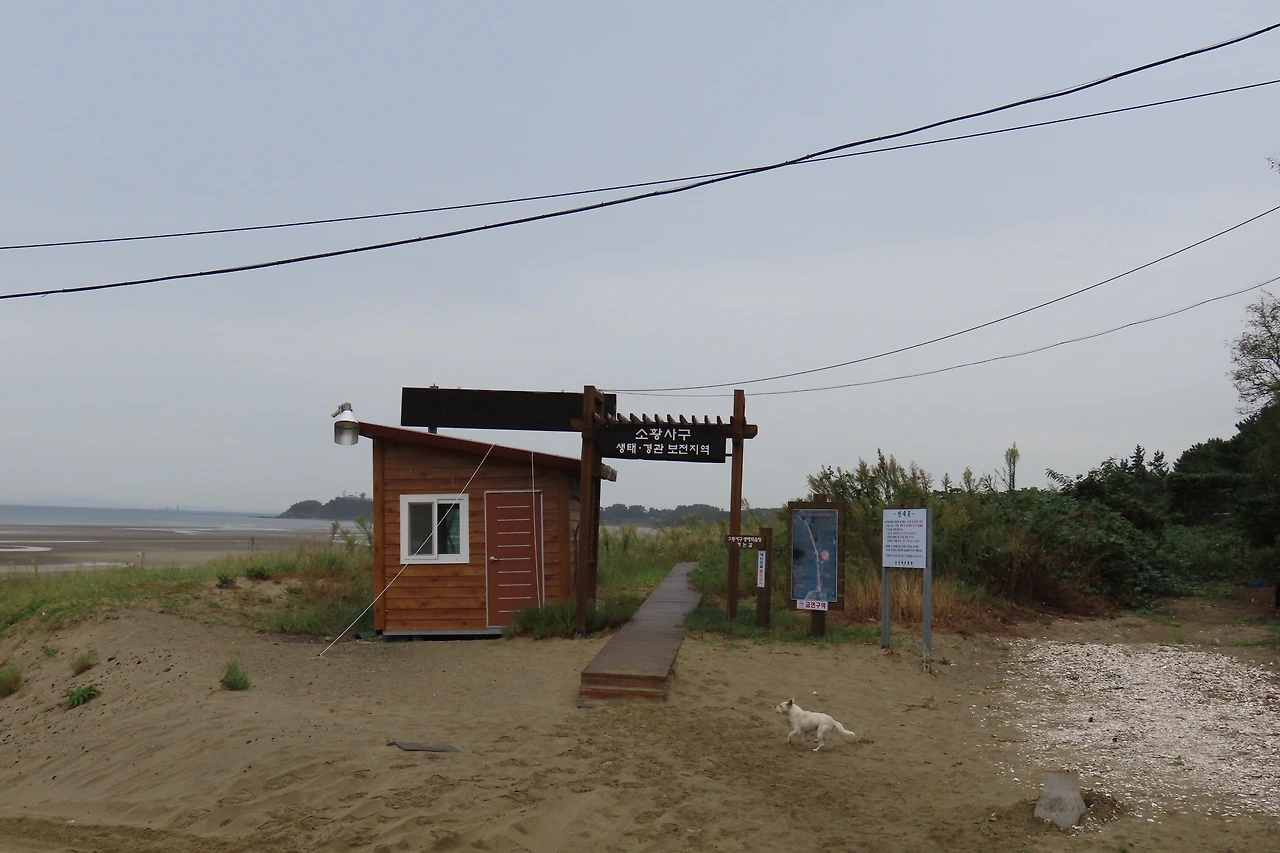 [소황사구] 풍경1.JPG