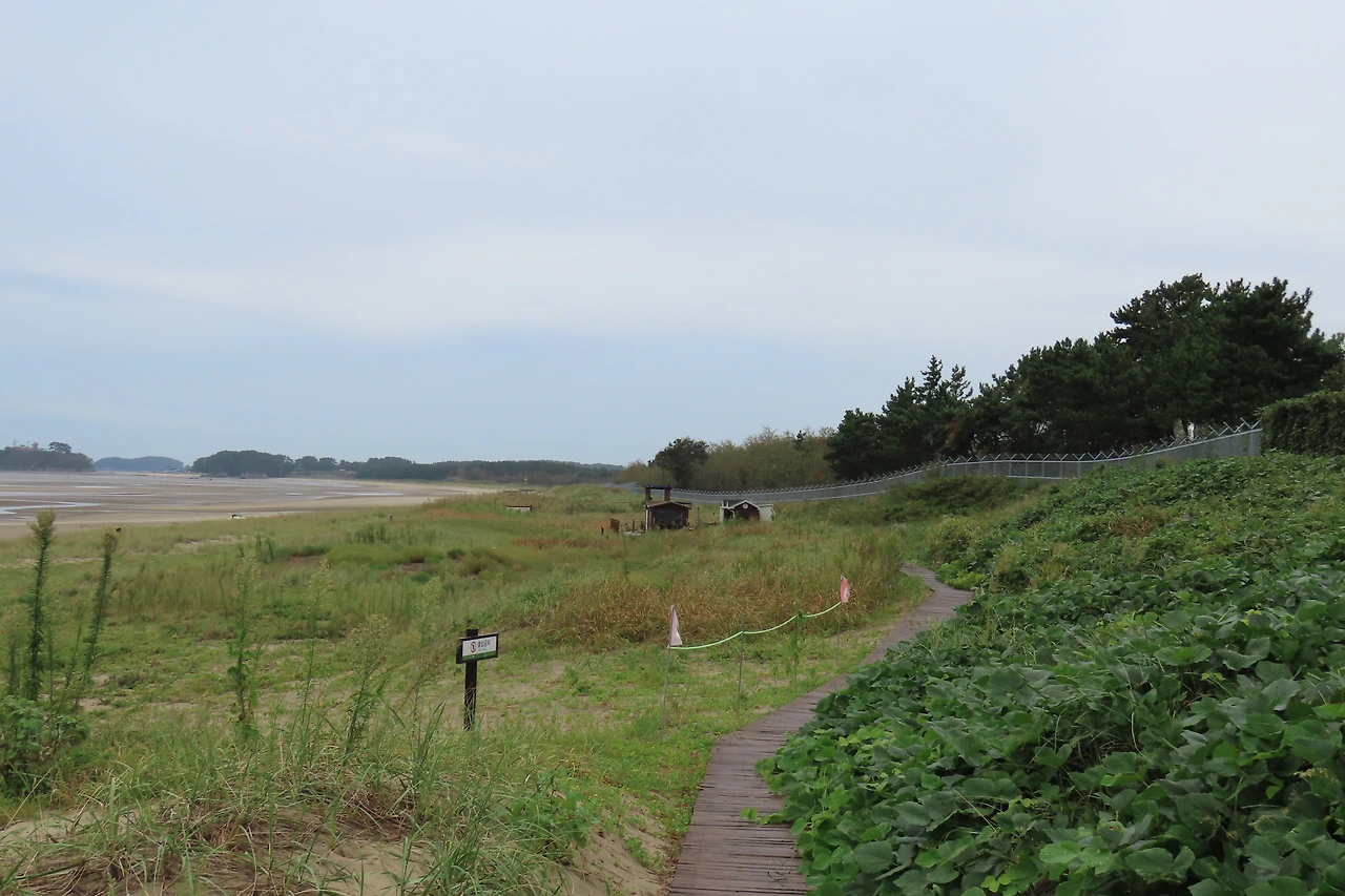 [소황사구] 풍경8.JPG