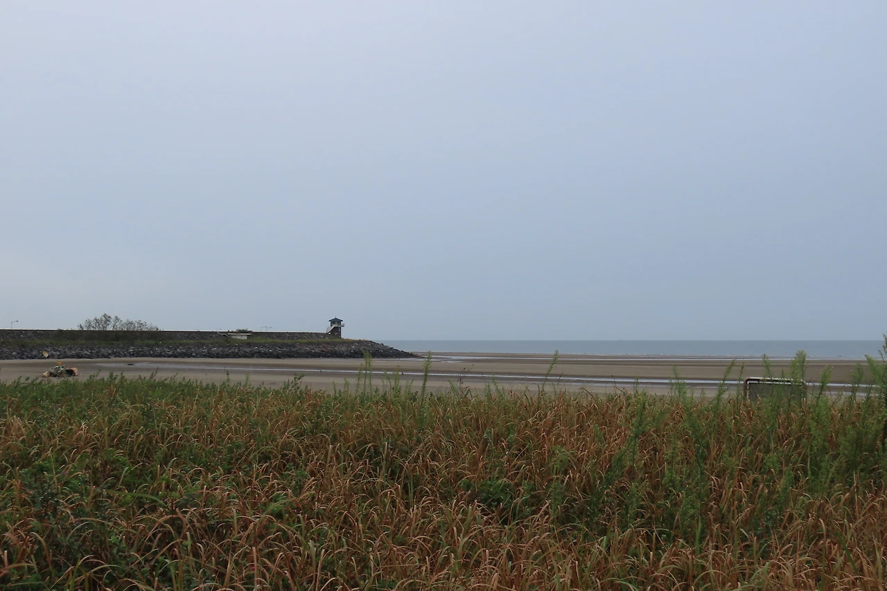 [소황사구] 풍경5.JPG